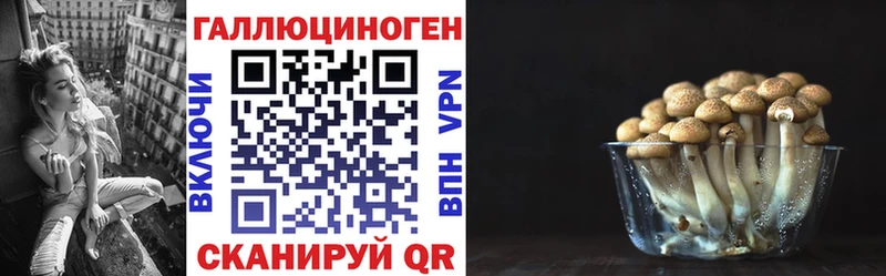 Галлюциногенные грибы мицелий  где продают наркотики  Сертолово 